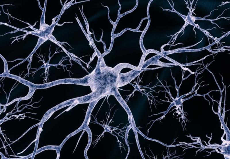 genotipia's tweet photo. #CASOCLINICO Hallazgo de variantes genómicas en un paciente con proceso neurodegenerativo .
Paciente de 48 años de edad, con trastornos de la marcha de 2 años de evolución progresiva, disartria y trastornos de coordinación. 
#geneticamedica #neurogenetica 
https://t.co/oYzH11V1cQ https://t.co/4BnFdBJVwu