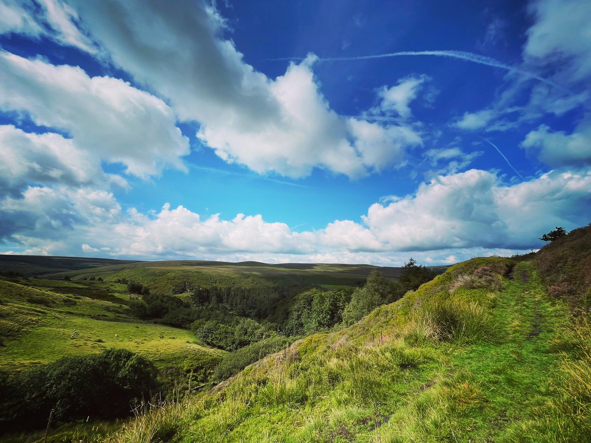 david coldwell tweet media