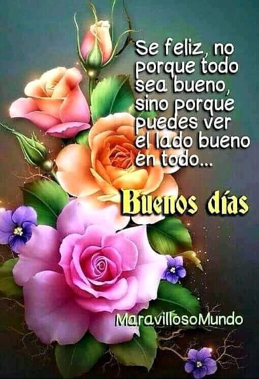 Lennys Samudio tweet media