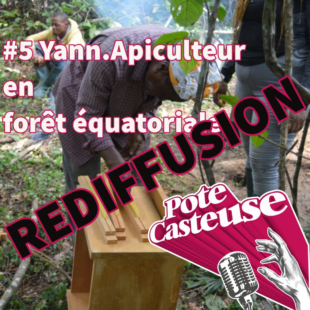 Rediffusion d'un épisode pas comme les autres avec un apiculteur pas comme les autres ! podcastaddict.com/episode/https%…
#abeille #apiculture #apiculteur #beekeeping #bee #beekeeper #savethebees #bees #impactpositif #environnement  #agirpourlaplanete #Gabon #Libreville #miel