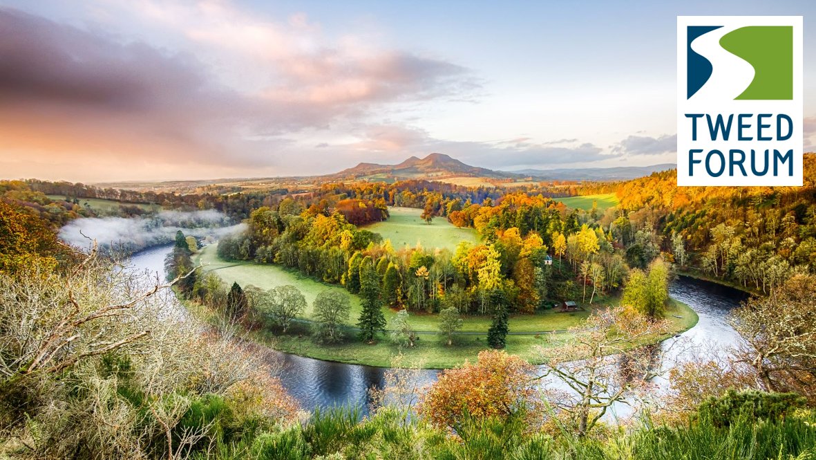 We are accepting applications for our River Till Project Officer vacancy up until 9am on Monday 14th August! Visit tweedforum.org/work-with-us/r… for full details of the role and how to apply.