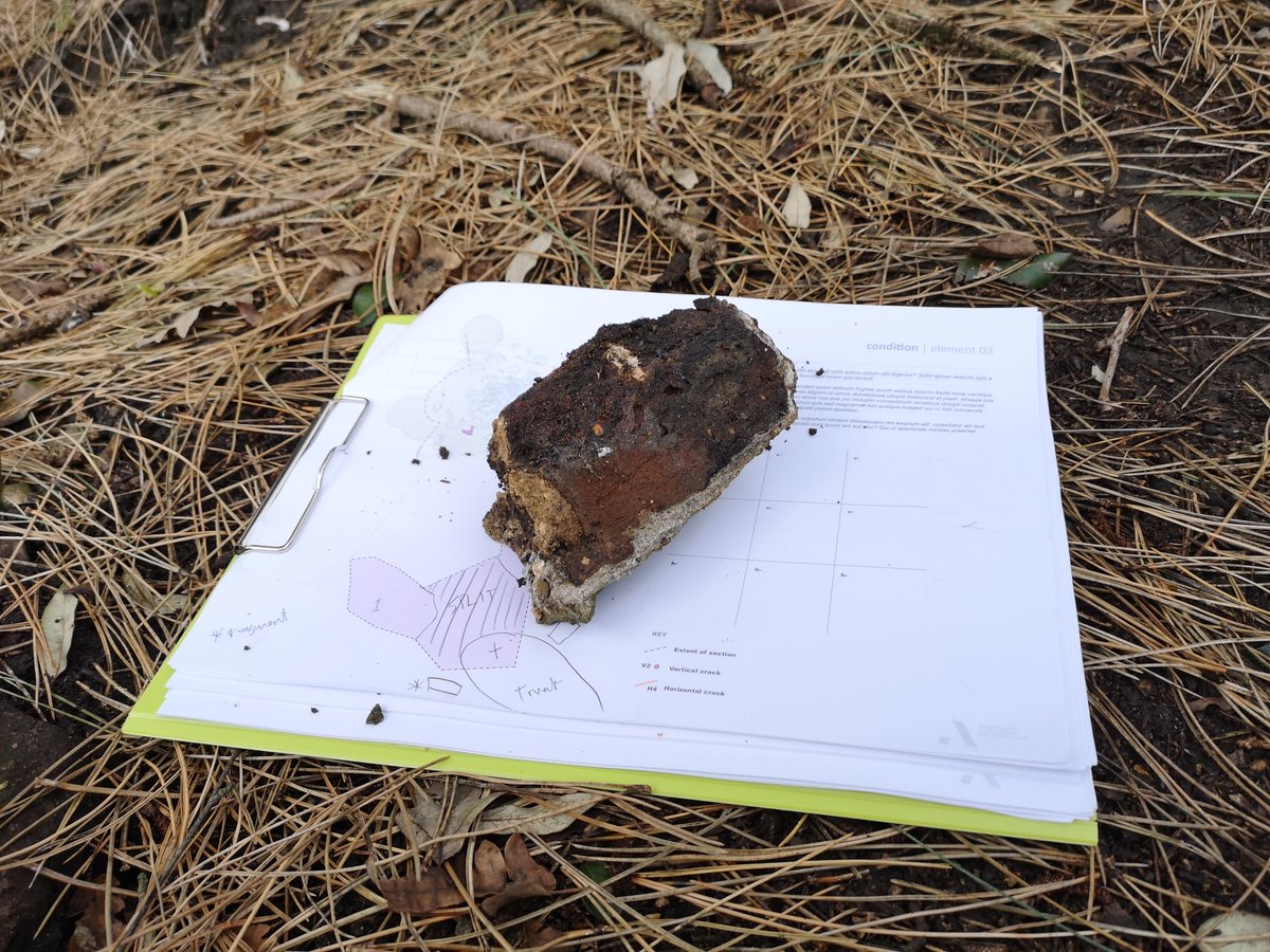 #Throwbackthursday to Battersea Park Cascades where we completed a heritage feasibility study looking at restoring the #Pulham rockwork - "The Cascades" -reflecting their historical importance as the first major Pulham feature in a London park. 

#heritage #battersea #feasibility