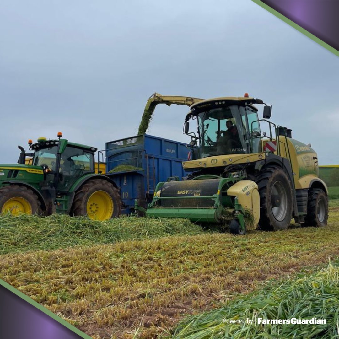 LAMMA Show tweet media