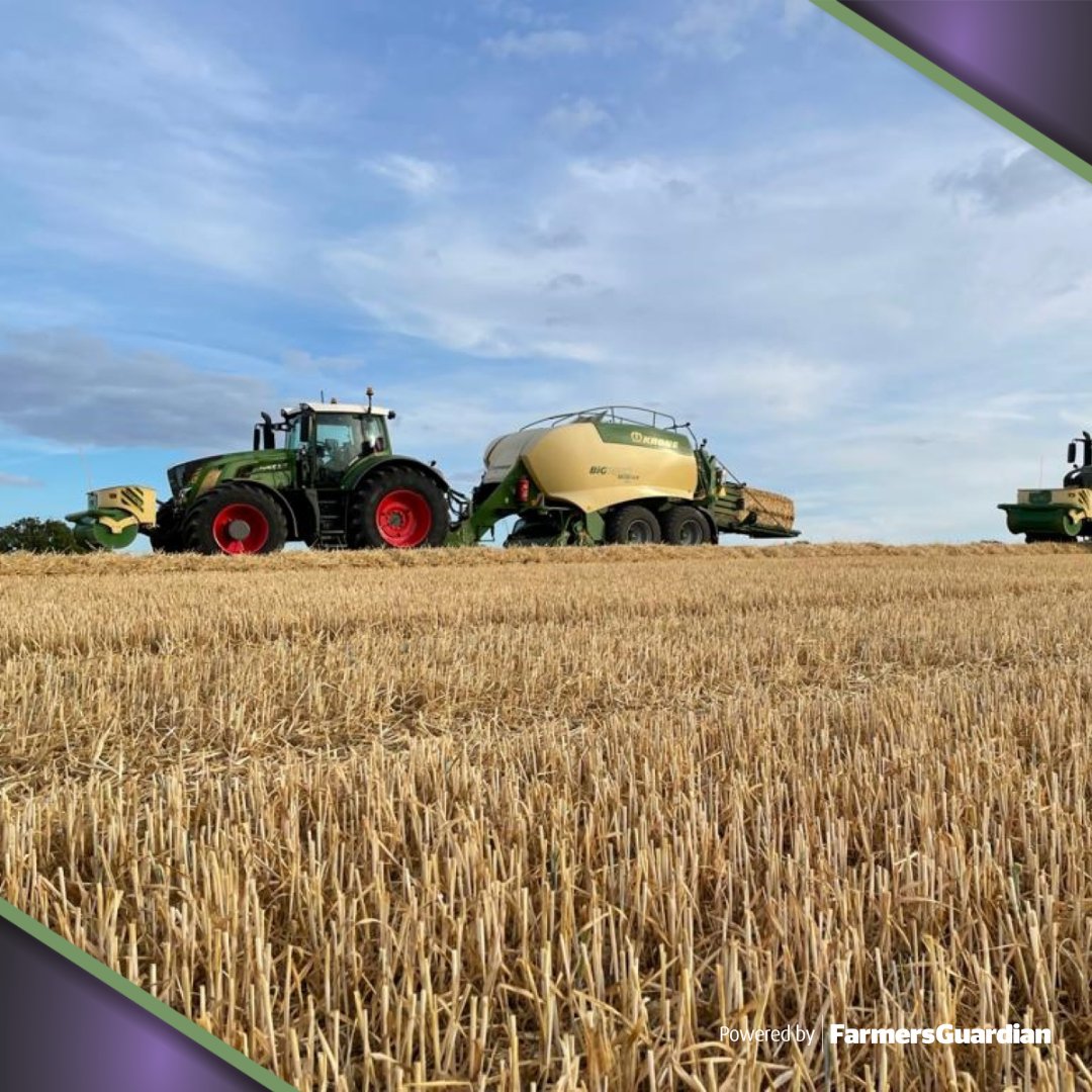 LAMMA Show tweet media