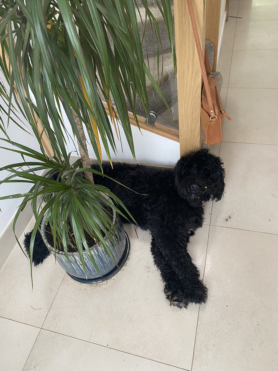 Magadeep 🍟🧠🫠 tweet media