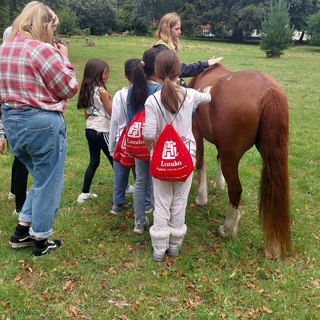 EalingRiding's tweet photo. Throwback Thursday to last week when we went to Gunnersbury Park. Please let us know if you would like a drop-in visit this summer from our ponies at your local park or event. https://t.co/W8fIuroJVe