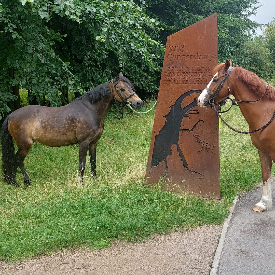 EalingRiding's tweet photo. Throwback Thursday to last week when we went to Gunnersbury Park. Please let us know if you would like a drop-in visit this summer from our ponies at your local park or event. https://t.co/W8fIuroJVe