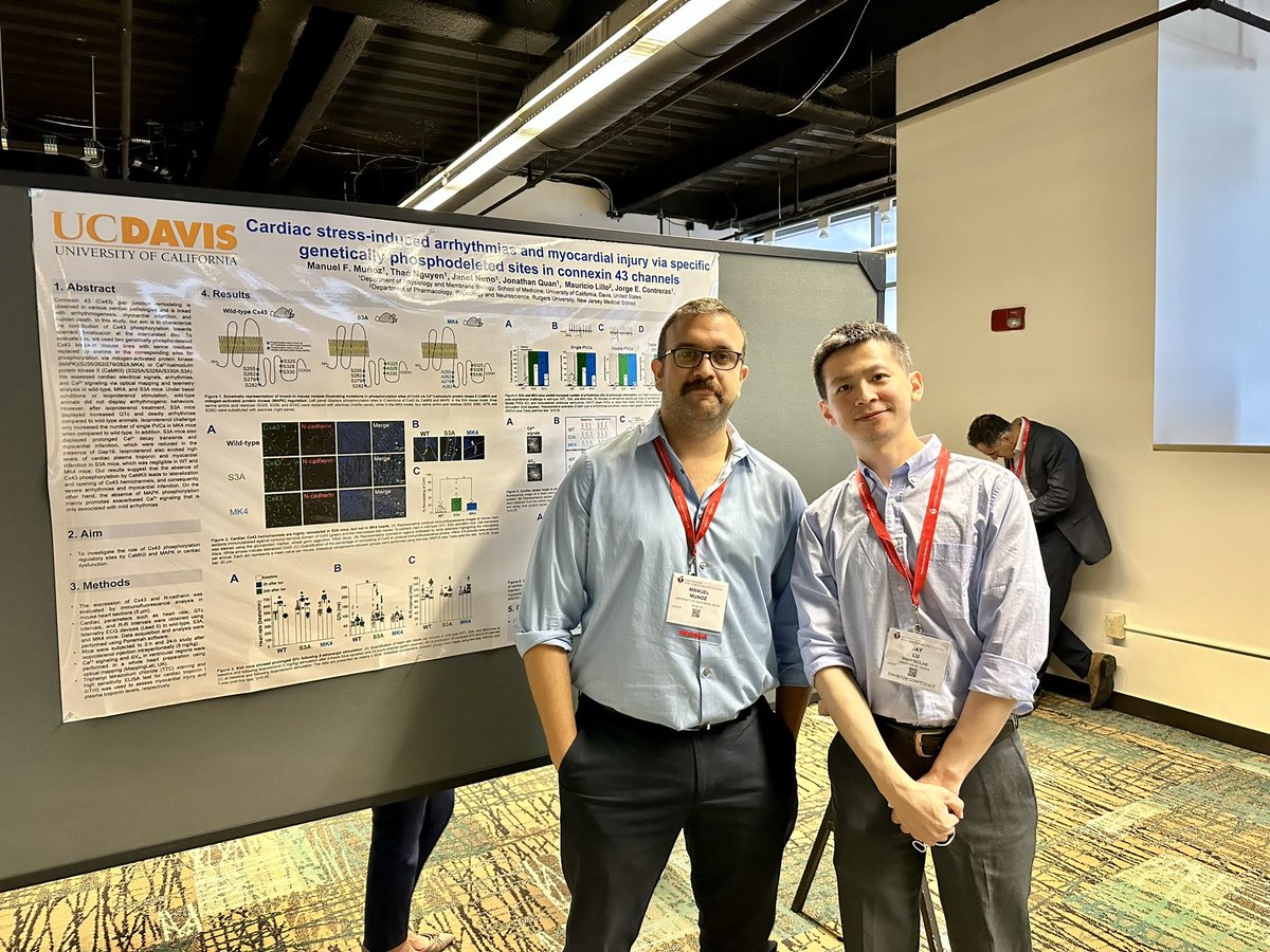 jayjay_lu's tweet image. Absolutely thrilled to see Manuel’s poster in person at #BCVS23! Great optical mapping data indeed.

Looking forward to seeing more interesting data and catching up soon!

@mfco5m @DrContrexin 
#CardioTwitter #opticalmapping