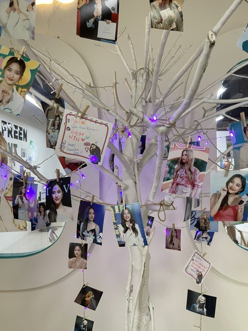 sp_nusu's tweet photo. ภาพที่ดูดี ดูสวยขึ้น 🐰💙 freen cafe is so pretty. 😚
Cr. ขอยืมรูปภาพเจ้าของด้วยครับ🙏🫶
#AtFreenMoment
#srchafreen #ทีมป๊ะป๋าฟรีนเบค https://t.co/nISLDTXYK4