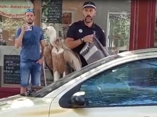 Ayuntamiento de Torrejón de Ardoz tweet media