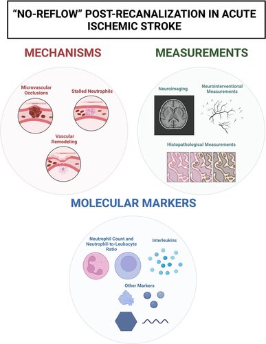 AshuJadhav tweet media