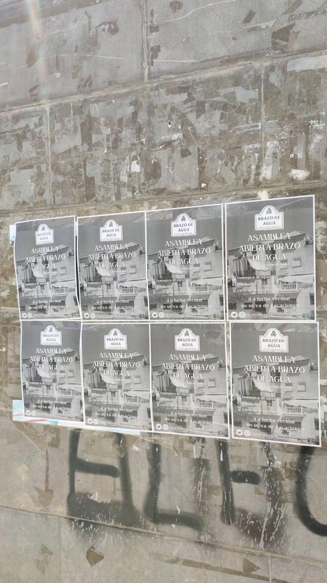 📢 ¡Nos vemos el domingo!