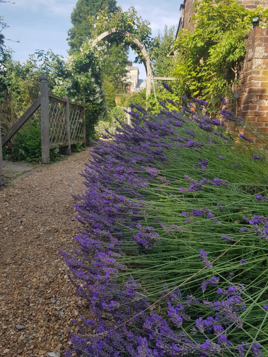 KingJohnsHouse's tweet photo. And suddenly the sun came out. It's a nice day in #KingJohnsGarden and you can #SeeForCenturies
For more beautiful #TestValleyGardens @moreTestValley @Visit_Romsey https://t.co/greYenPxGU