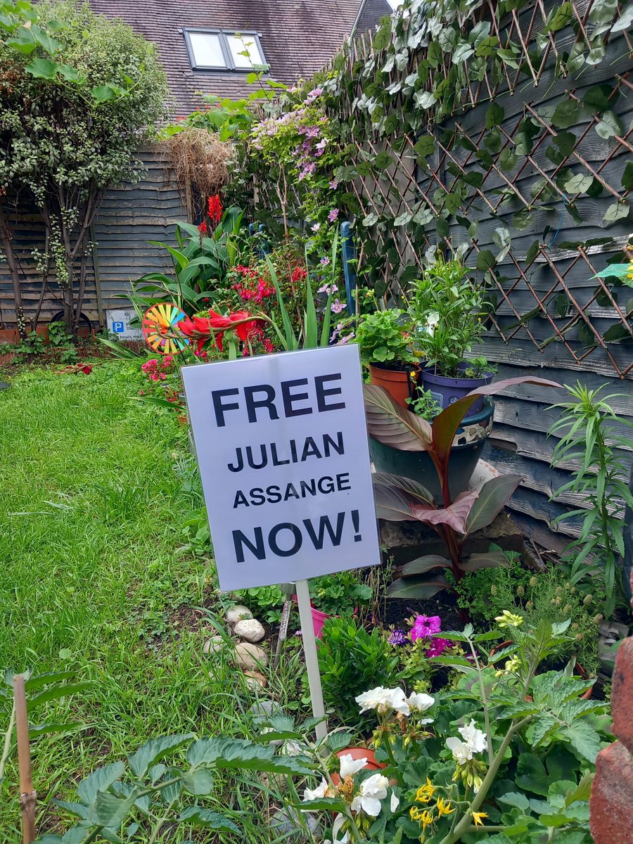 AlexWaltens's tweet photo. I've just been given a great "money-saving" idea. If you water these placards regularly then they grow into large banners. ๐คฃ #gardeningtips #FreeAssange #AssangeCampaign #DontExtraditeAssange #Stella_Assange #AssangeProtest #FreeAssangeWAVE #EnoughIsEnough #JulianAssange โ https://t.co/yIwCaG6gDz