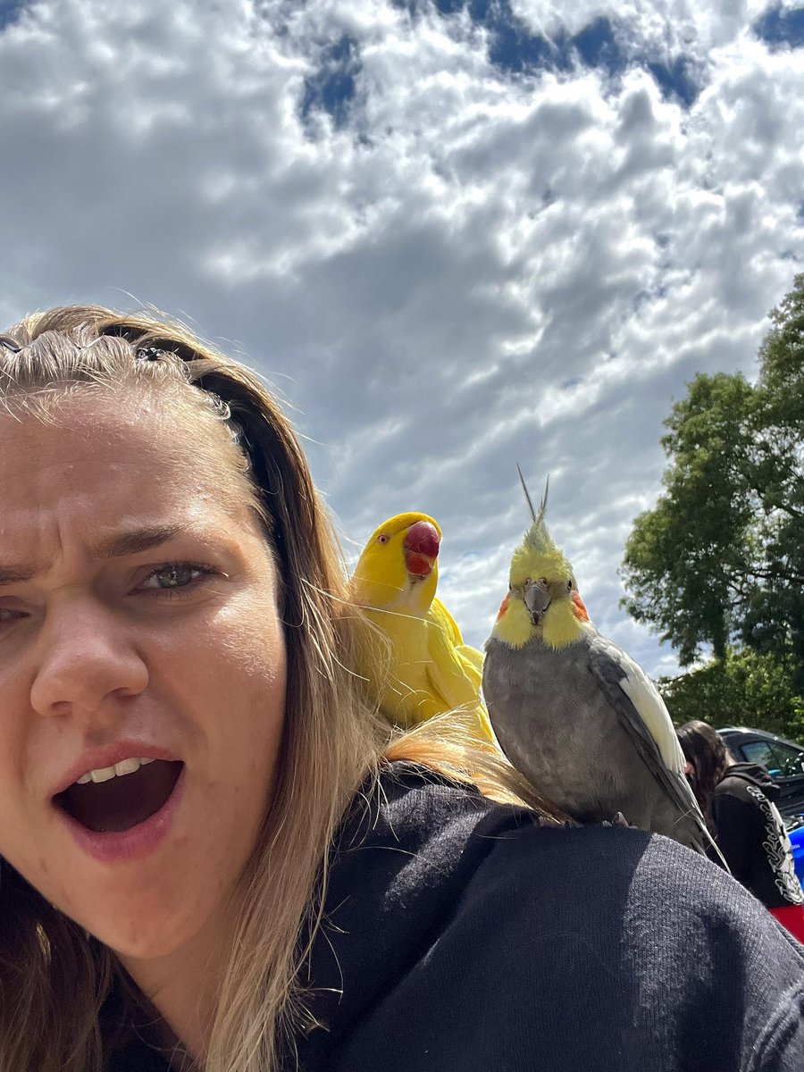 Tell me how my job title is ‘box office assistant’ but I currently have a parrot on my shoulder? 
<a href="/performing_pets/">Performing Pets</a>