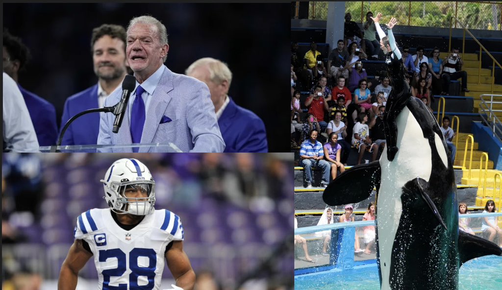 BREAKING NEWS: Instead of paying his star running back Jonathan Taylor, Indianapolis #Colts owner Jim Irsay is spending 20 MILLION DOLLARS to transport a large killer whale across the US from a small enclosure in Miami 
where she had lived for 53 years to the Pacific Ocean, per…