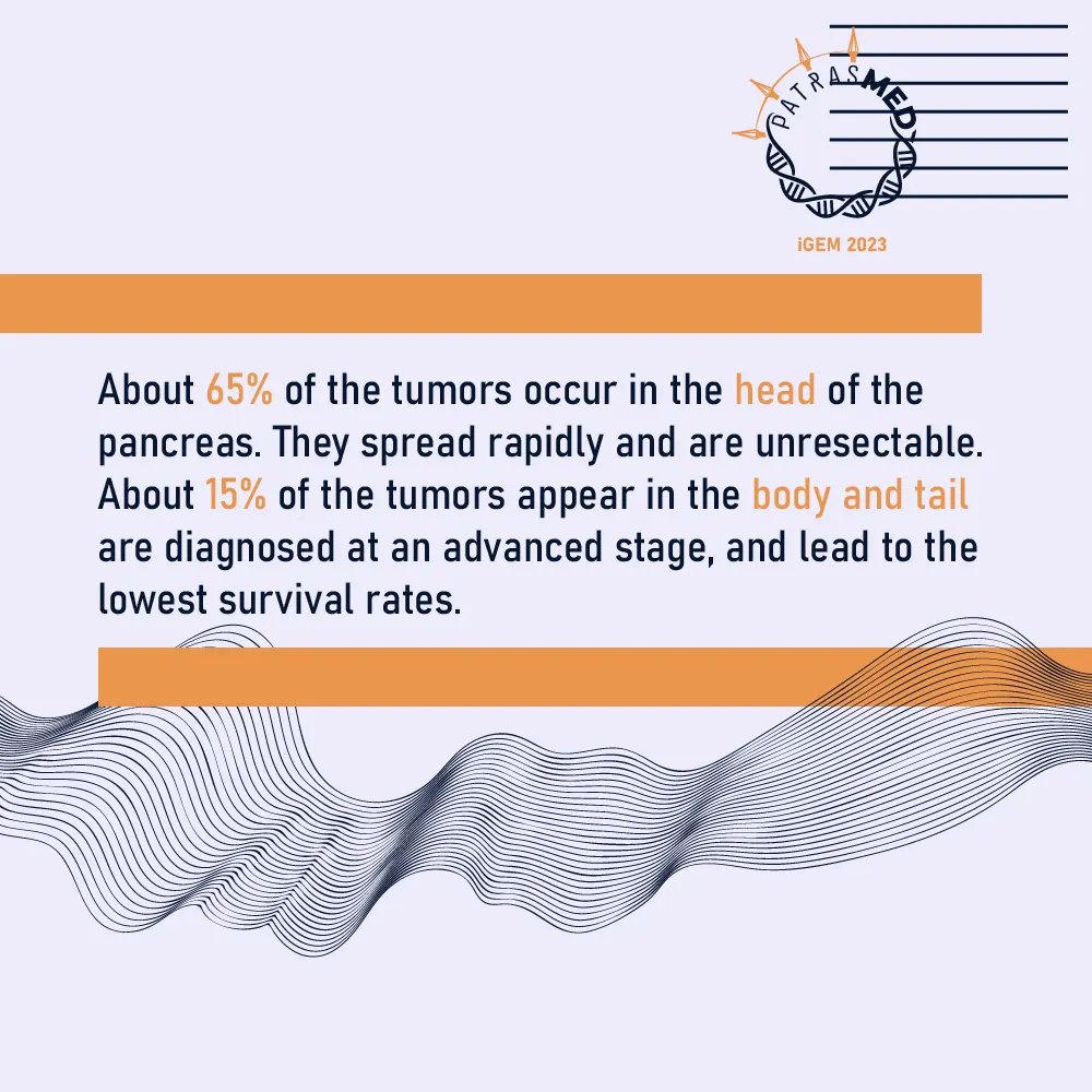 Patras Medicine iGEM 2024 tweet media