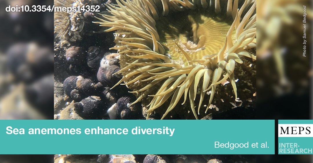 Marine Ecology Progress Series (MEPS) tweet media