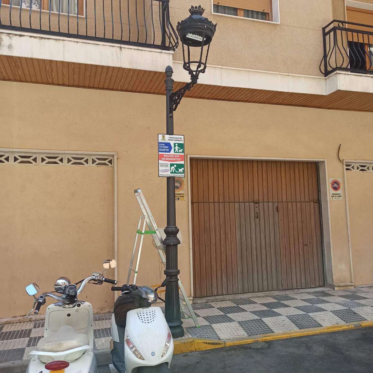 SergioPastorES's tweet photo. Ante la demanda vecinal hemos procedido a la colocación de NUEVAS SEÑALES por parte de Servicios Técnicos y LIMPIEZA EXTRAORDINARIA en C/ Miguel Hernández debido a los malos olores provocados por el orín de mascotas.
@AjuntamentPolop
#ActivandoPolop #MejorandoPolop #Polop https://t.co/tU8SLZdxui