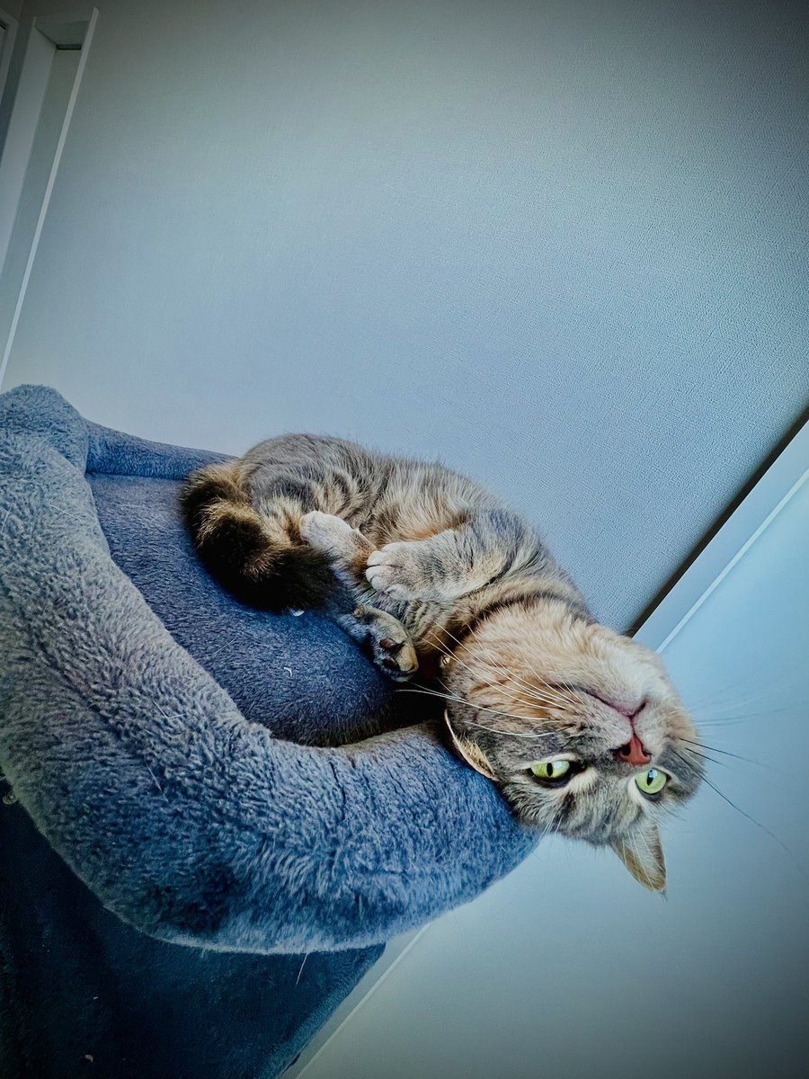 久しぶりの呟きの気がする😳
そして1日で40歳になりました今後ともよろしくお願いします🙇✨
#40代かぁ