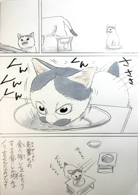 まいにちノリ吉