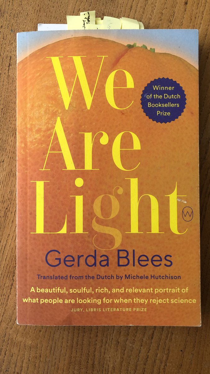 modern_cult's tweet photo. Happy publication day to Gerda Blees for We Are Light translated by @M_Hutchison @WorldEdBooks #newdutchwriting !! https://t.co/VwWHWA30lS