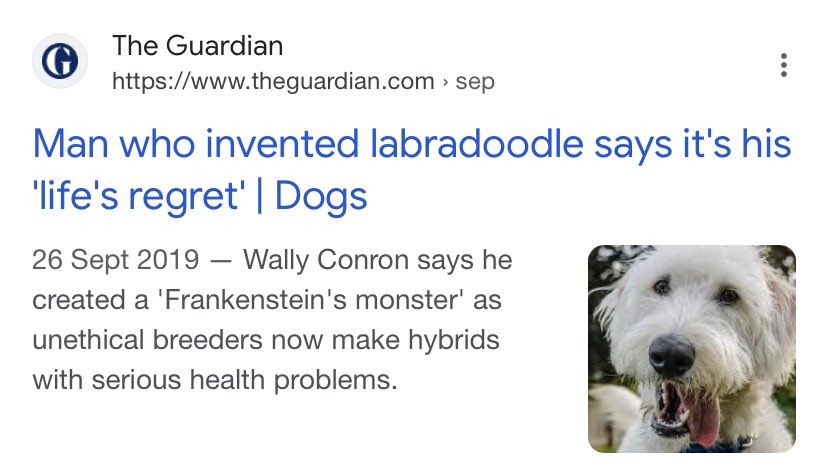 ᴾᴬᵁᴸᴰᴼᶜᴷ ˣ tweet media