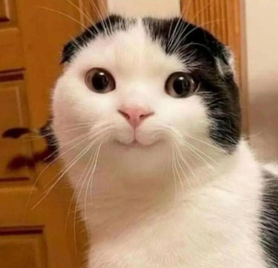 Doc_Dramatic's tweet photo. My face when someone asks a question about the topic that was just taught : https://t.co/shI8TQwiVI