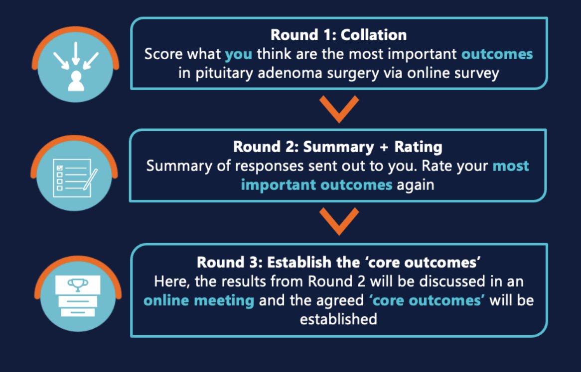 What does the study involve?

The study has three rounds. . .