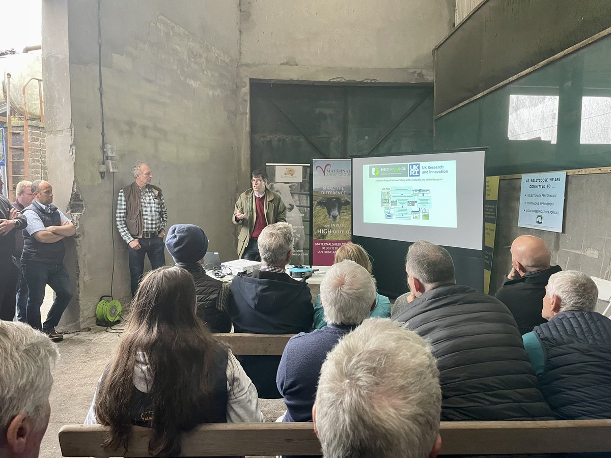 AnnieMcL1's tweet image. Really interesting couple of days in NI visiting Campbell Tweed @ Ballycoose farm &amp;amp; the CAFRE hill farm at Glenwherry. Also managed to attend the Ballycoose open evening event &amp;amp; give a quick update on the #SRUCKirkton flock. Great turnout of farmers &amp;amp; lots of good discussion 🧬🐏