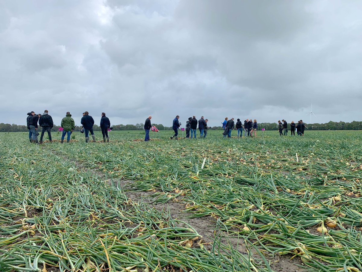 DeGrootenSlot's tweet photo. Afgelopen dinsdag werd er (ondanks de regen) een geslaagde plantuiendemo gehouden in de Wieringermeer. Klik op de link om het volledige artikel te lezen 👉 https://t.co/ijRUn7QGFF #plantuien #degrootenslot #qualityinside https://t.co/wEWUnWpUpY