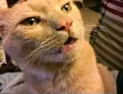 Ukifungua simu ya morio wako uone browsing history yake ni gay porn..😂😂