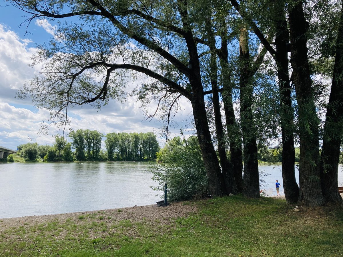 sonjaapp's tweet photo. #Flaschenpost Nr. 12 in #Deggendorf in der #Donau verschickt und mal wieder eine coole #Strandbar entdeckt. 😎🍾✉️🍀🐞🐞😎😊 #Messageinabottle #beachbar #bar #glück #schicksal #buenasuerte #goodluck #schicksal https://t.co/1kf1N43S1u