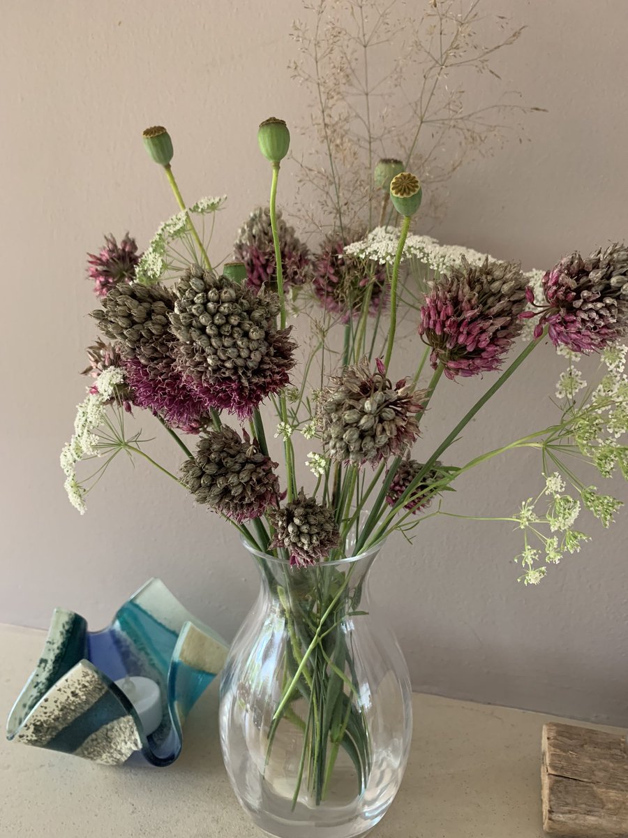 gardengeeker's tweet photo. Why stop enjoying your flowers when they go over 😄🌸🌾 #gardening #flowers #GardeningTwitter https://t.co/GUXgowBvRD