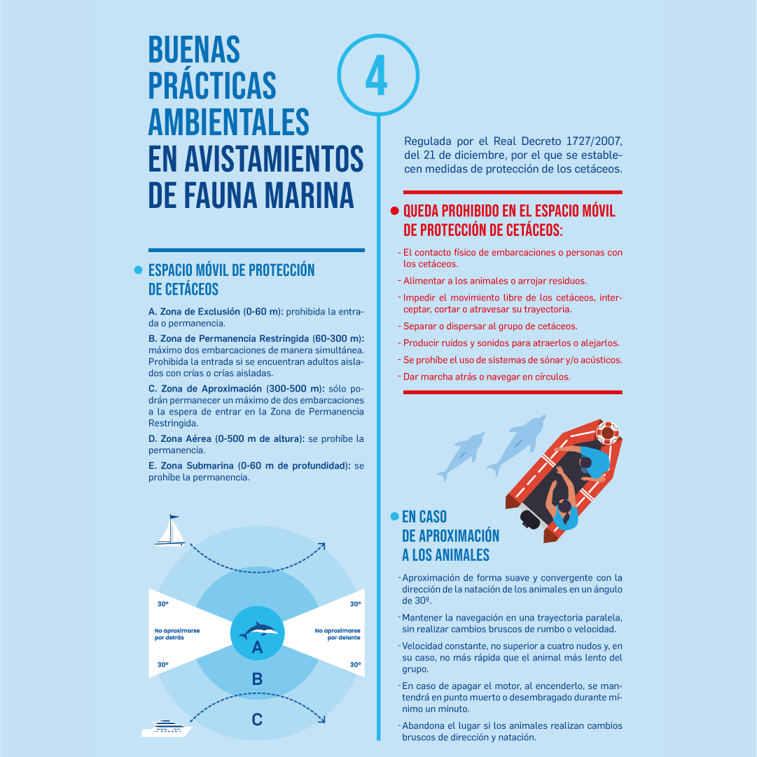 🌊🐋Os presentamos la campaña de conciencia marina🐬🐢

¡No olvides compartir esta publicación para que más personas se sumen a esta noble causa! 🌊🐠

#fundacionOceanografic #campañaconcienciaciónmarina  #vidaMarina #amantesdelMar #conservaciónmarina #Sanimar #PRTR #MITECO