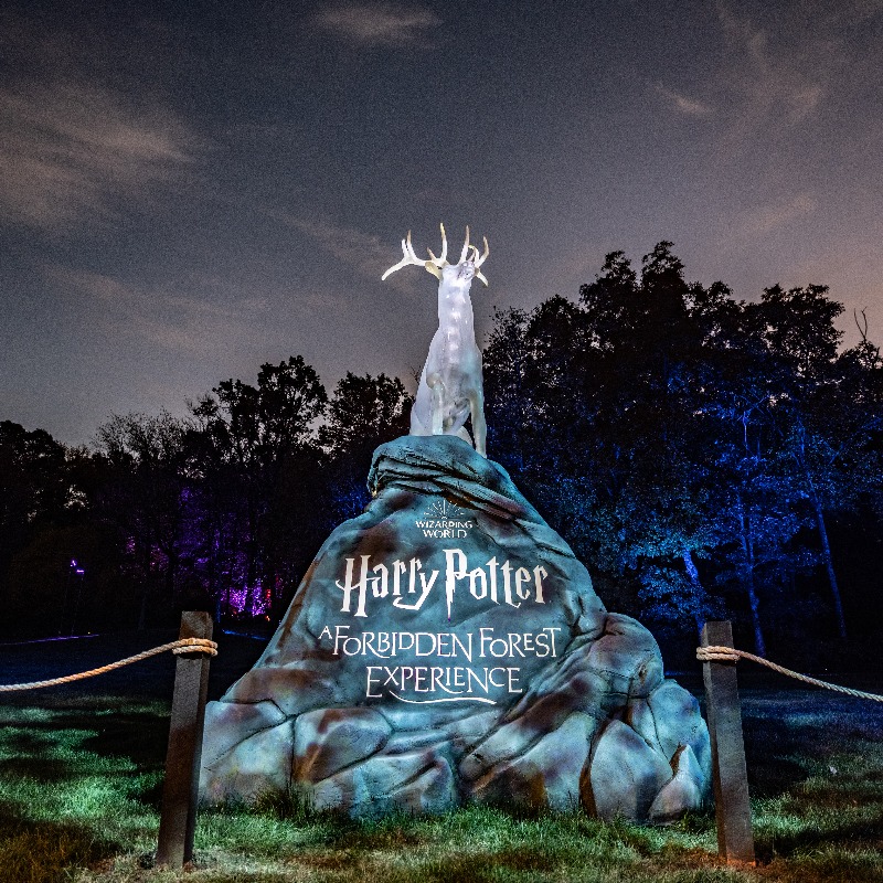 fever_gl's tweet photo. Enter a magical illuminated trail with your family and discover the secrets of the Wizarding World™ 🪄