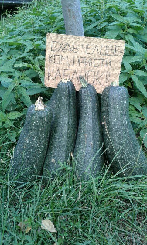 Russia_NC's tweet photo. https://t.co/xxezVyQ2XO