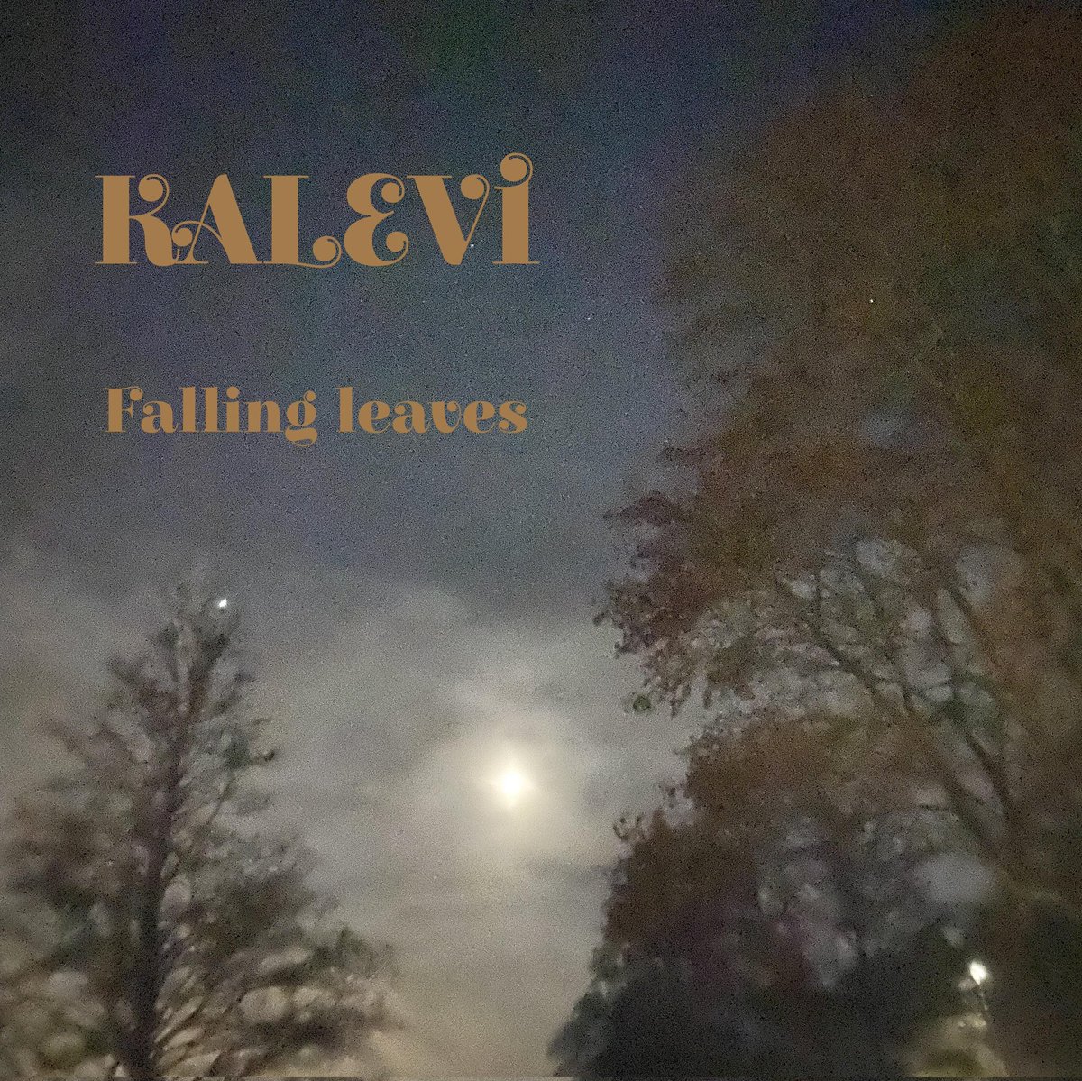 Kalevi_Kalevi1's tweet photo. "Falling Leaves" New singel from KALEVI
https://t.co/lCENqaIsnp
#radio #indiebands #London #Thecure #underhållning #bramusik #band #genre #pop #stockholm #indieartist https://t.co/ncLAmOPz7S
