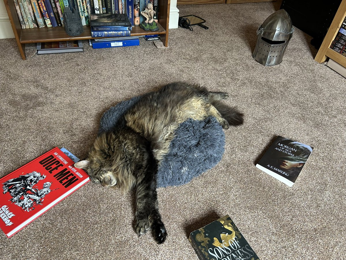 Mark__Lawrence's tweet image. Having defeated his cushion in battle Wobble is resting on his triumph.