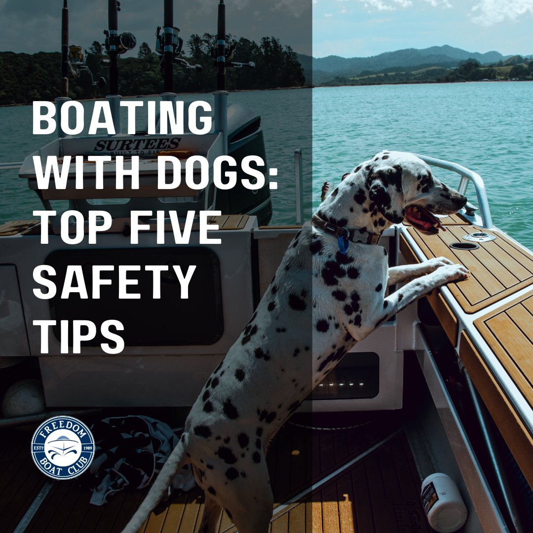 fbcspacecoast's tweet photo. Yes, you can bring your furry friend onboard! Here are some safety tips you must consider: https://t.co/jD3qsYHlfJ 

#boatingwithdogs #boatsafety #boatingsafety https://t.co/OwZebJpva2