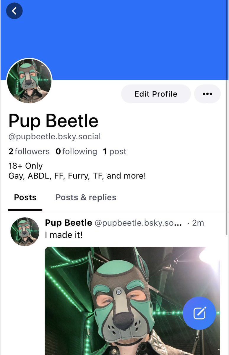 Beetle (@PupBeetle) / Posts / X