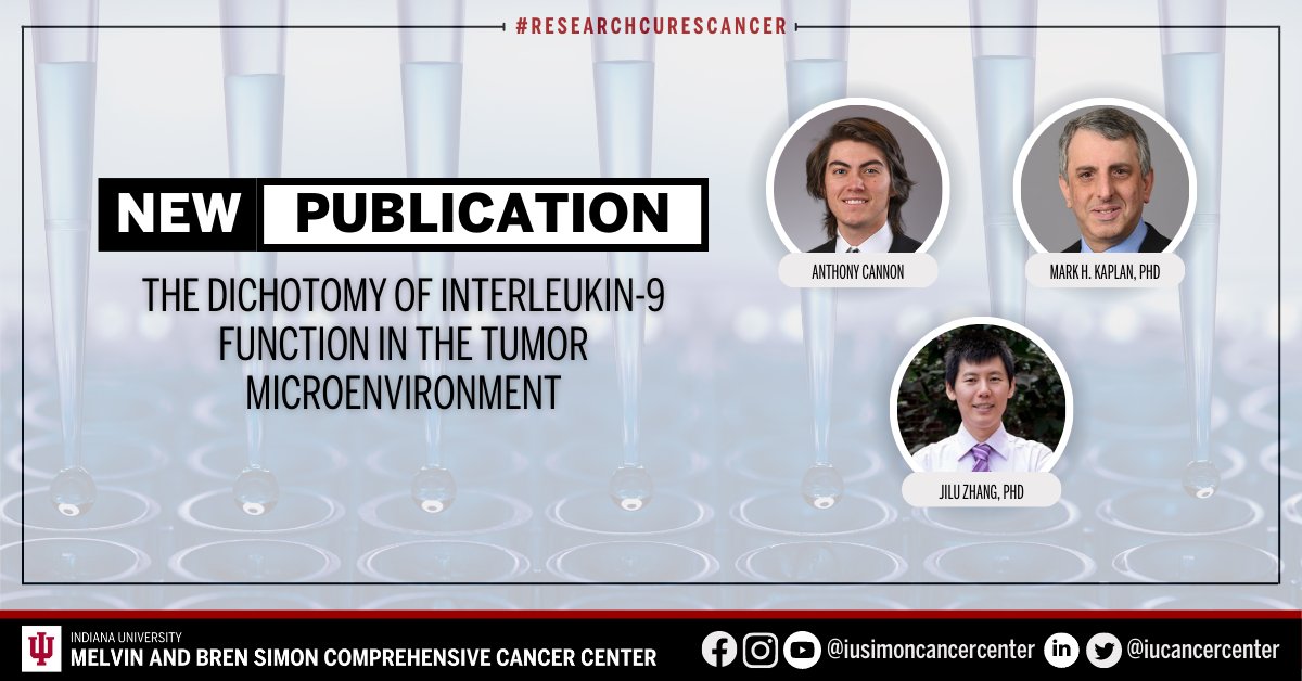 How does Interleukin-9 (IL-9) behave in the tumor microenvironment? The cancer center’s Drs. Mark H. Kaplan, Jilu Zhang, and our trainee Anthony Cannon investigate in a new article published in the Journal of Interferon & Cytokine Research. Learn more: ow.ly/BE2Z50P8Z3f.