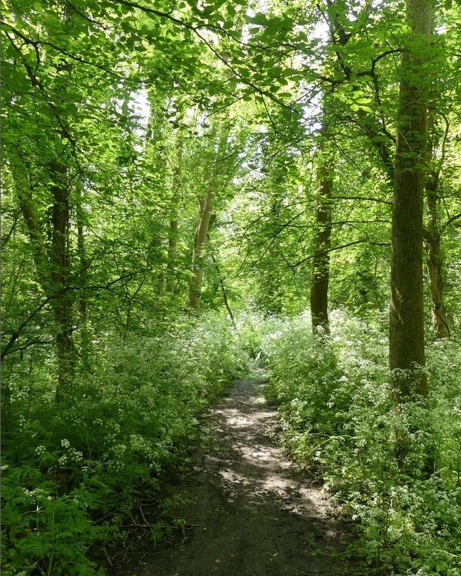 Friends Of Whitewebbs tweet media