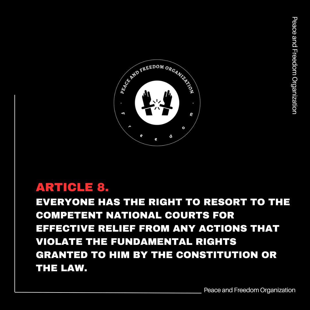 PeaceFreedomO's tweet photo. Article 8:
Everyone has the right to resort to the competent national courts for effective relief from any actions that violate the fundamental rights granted to him by the Constitution or the law.
#human_rights https://t.co/cWblMbmkRM