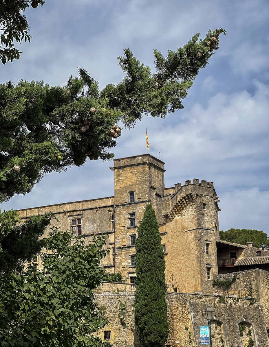 OTLuberon's tweet photo. #jeudiphoto Partez découvrir le village de Lourmarin autrement en participant à notre visite guidée "la malédiction de Lourmarin", tous les mardis de 9h à 10h30 🤩
👉 Infos et réservations : https://t.co/9UeLkVnjGM
#lourmarin #luberon #destinationluberon #provence https://t.co/h4KL81KdTE