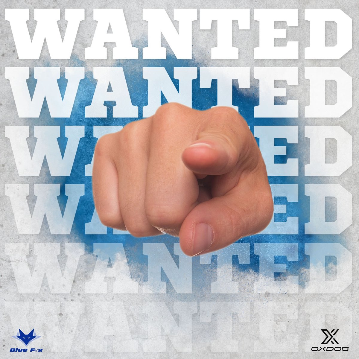 Innebandyföreningen Blue Fox tweet media
