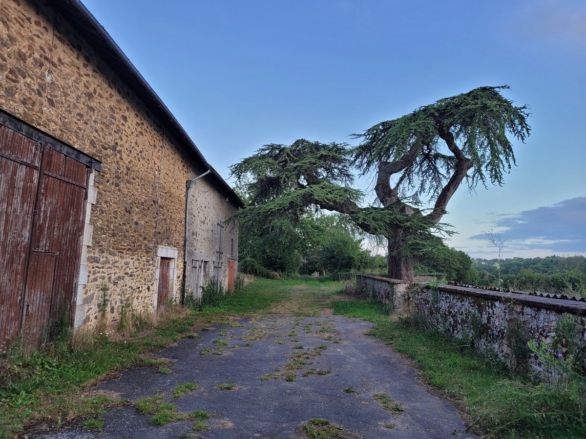 Martijn van der Pauw tweet media