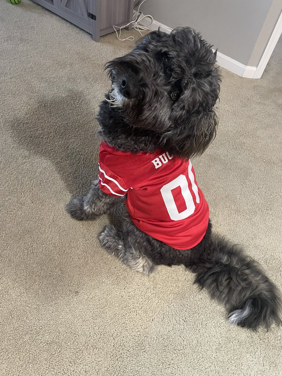 Joe Lyberger tweet media