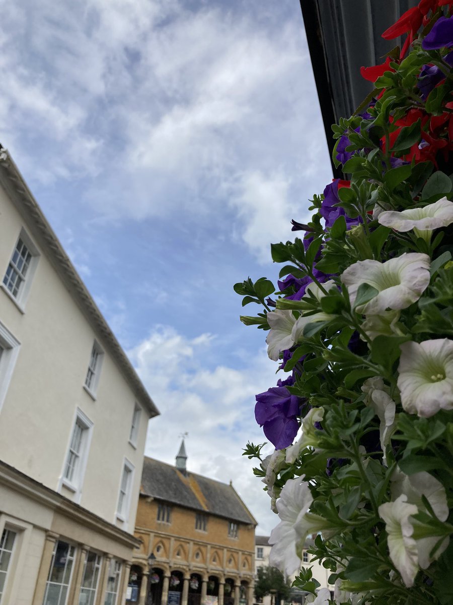 bailhill's tweet photo. Delighted that the swifts are still wowing us on Fore Street - far more enthralling than lumbering traffic… Soaring stuff indeed! @4thEstateBooks @JMLockhart2 @_SwiftPress @r_heisman @eandtbooks @LevParikian @JonathanCape @MarkCocker2 https://t.co/ncpl4nwG5O