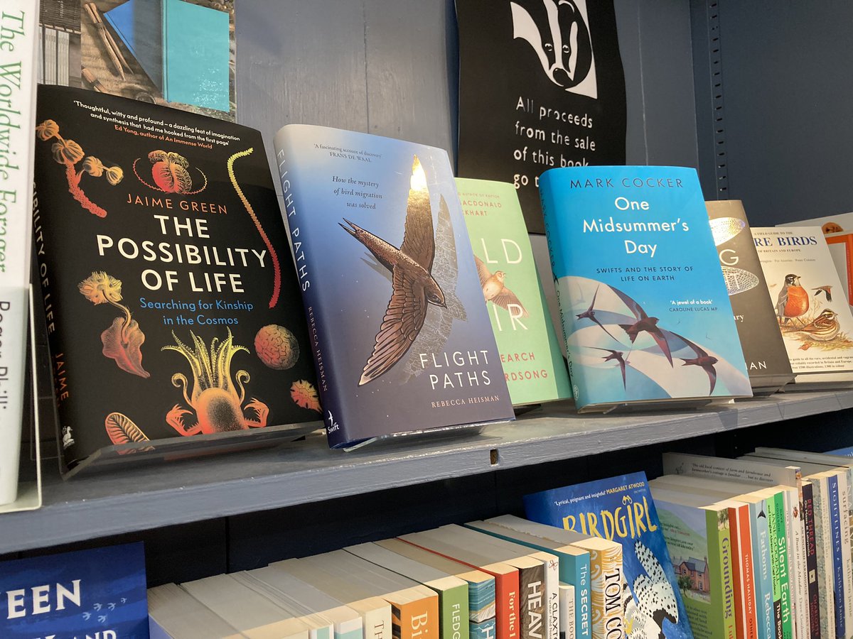 bailhill's tweet photo. Delighted that the swifts are still wowing us on Fore Street - far more enthralling than lumbering traffic… Soaring stuff indeed! @4thEstateBooks @JMLockhart2 @_SwiftPress @r_heisman @eandtbooks @LevParikian @JonathanCape @MarkCocker2 https://t.co/ncpl4nwG5O